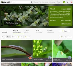 inaturalist page