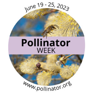 Pollinator Week 2023 – Pollinators and Climate Change