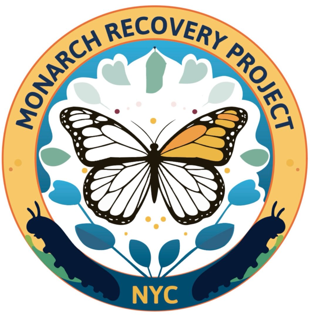 Monarch Recovery Project